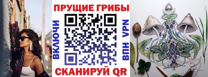 блэк спрут   Карабулак  Псилоцибиновые грибы ЛСД  наркошоп 